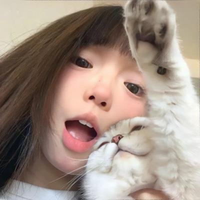 认识狗狗